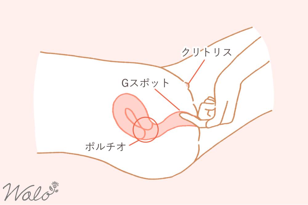 Gスポットを指で触る