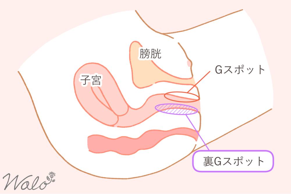 裏Gスポット1